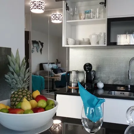 Luxury With Large Terrace Apartment Wroclaw